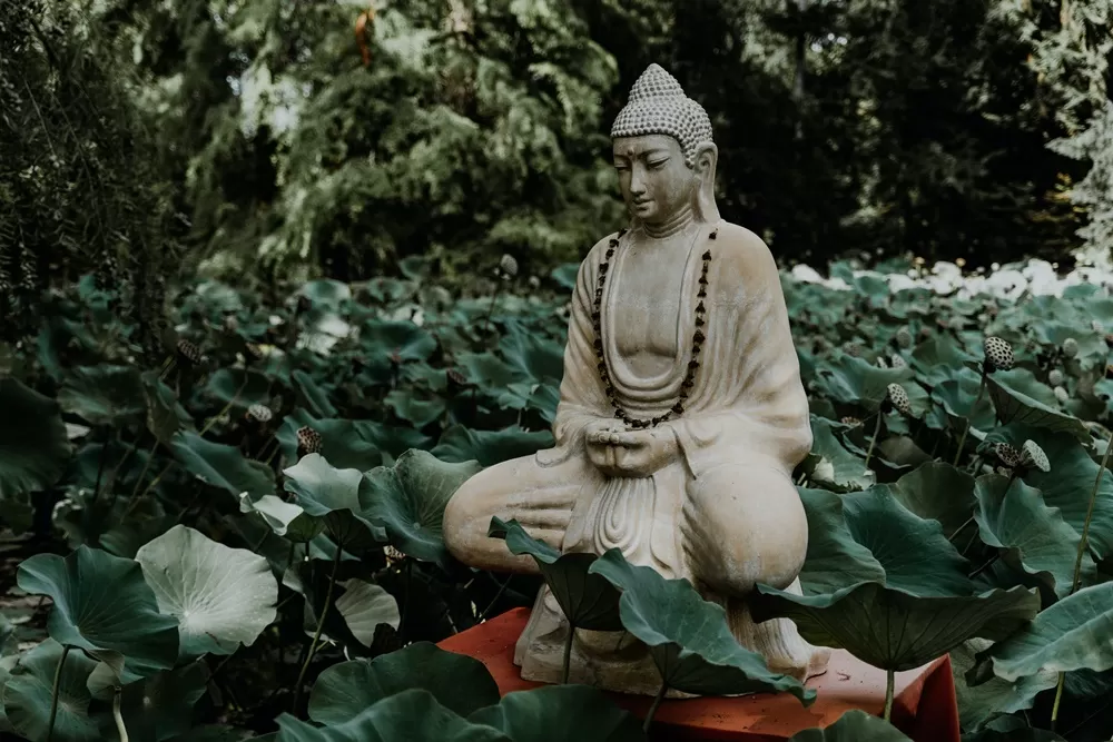 Буддизм – философии или религия